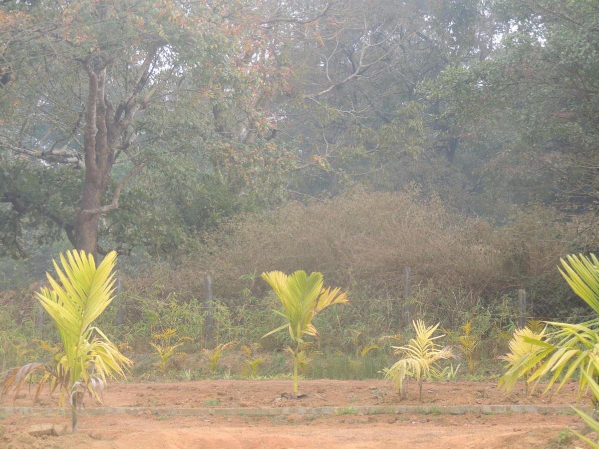 Dandeli Aura公寓 外观 照片